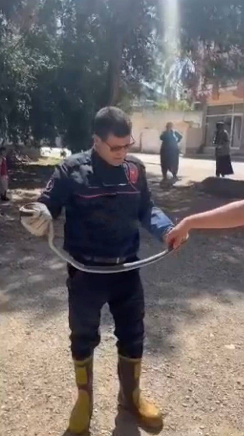 Yılanları mıknatıs gibi çeken 4 nokta belli oldu! Evinde olanlar dikkat - Resim: 18